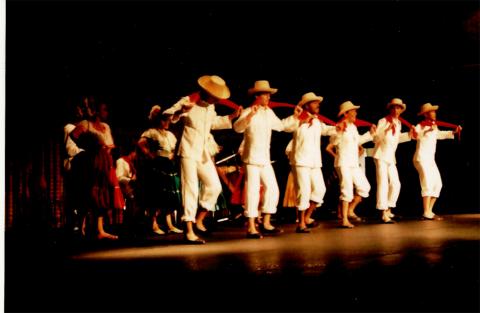 Grupo de Danzas Folclóricas Colombianas de Delia Zapata Olivella